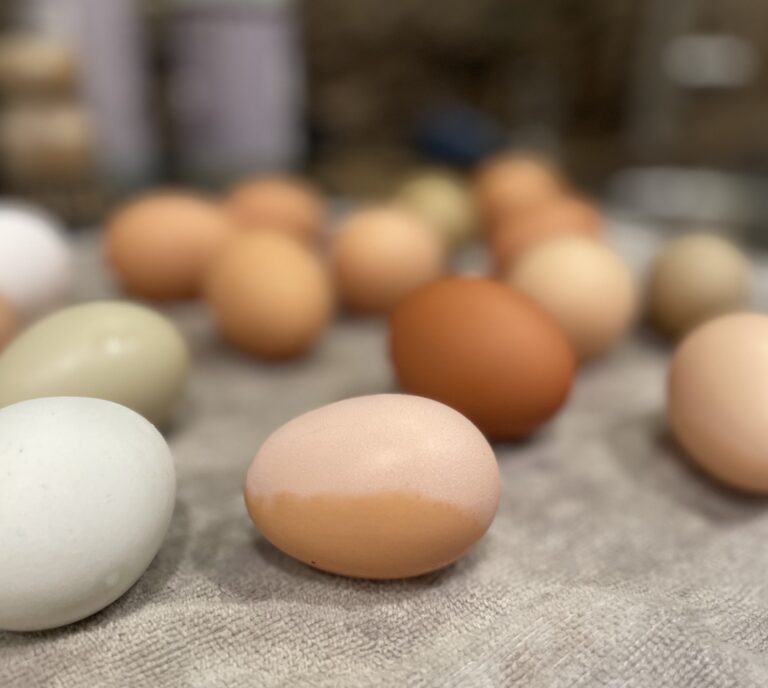 Half of an egg washed showing the heavy bloom